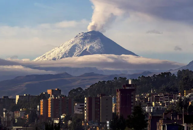 Cotopaxi volcano spews ash and steam near Quito, Ecuador, 08 October 2015. The Security Coordinator Ministry, based on reports from the Geophysical Institute (IG) of the National Polytechnic School, said that Cotopaxi volcano 'continues its moderate internal and surface activity with emissions of gases and water vapor containing a burden moderate ash'. (Photo by Jose Jacome/EPA)