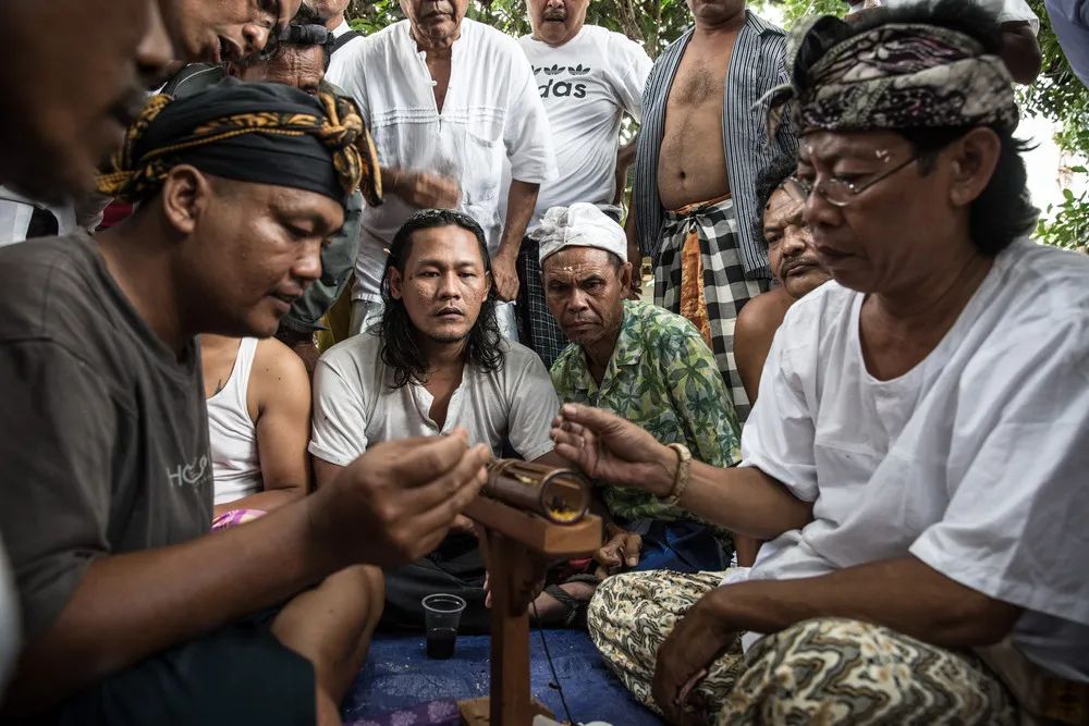 Traditional Cage Fighting in Bali