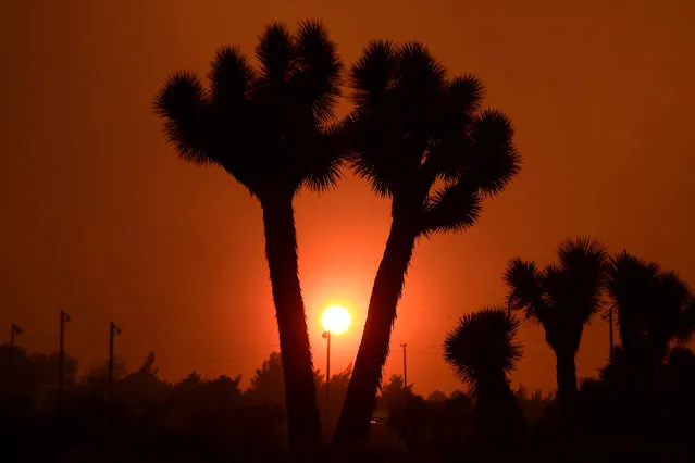 The sun sets through smokey skies from the so-called Bluecut Fire in the San Bernardino National Forest in San Bernardino County, California, U.S. August 16, 2016. (Photo by Gene Blevins/Reuters)