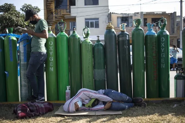 People wait in a line with empty oxygen tanks hoping to refill the canisters for relatives suffering from COVID-19, in Lima, Peru, Friday, January 29, 2021. The Andean country was one of the worst-hit in the region by the new coronavirus pandemic during 2020 and is now experiencing a resurgence in cases. (Photo by Rodrigo Abd/AP Photo)