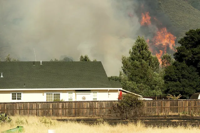 Flames from a wildfire rise above the Spring Lakes community on Sunday, June 24, 2018, near Clearlake Oaks, Calif. Wind-driven wildfires destroyed buildings and threatened hundreds of others Sunday as they raced across dry brush in rural Northern California. (Photo by Noah Berger/AP Photo)
