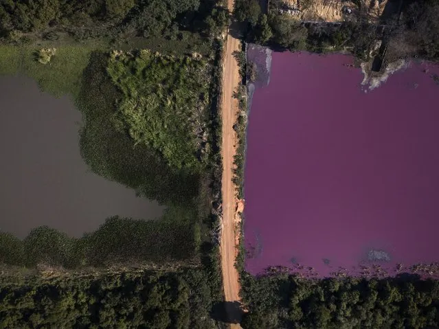 Parts of the Cerro Lagoon in the Paraguayan city of Limpio show purple water discoloration on December 20, 2020. The assumption is that the incident is related to the nearby Waltrading SA tannery. When water samples are taken on site, the color of the water is due to the presence of heavy metals such as chromium, which are commonly used in the tannery. (Photo by Jorge Saenz/AP Photo)