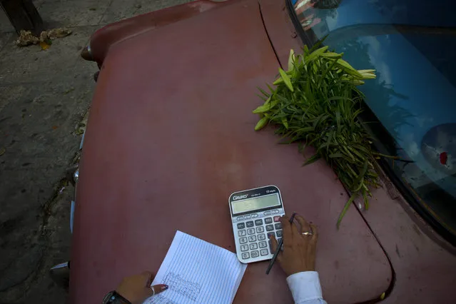 In this Thursday, January 29, 2015 photo, self-employed flower vendor Yaima Gonzalez Matos, 33, tallies her sales, in Havana, Cuba. The smallest mishap can push her balance sheet into the red for weeks. Recently someone reached into her rented car and stole her cellphone while she was talking to a client. Some days, the 1957 Buick she rents to transport the flowers, breaks down, leaving her stranded on the roadside. (Photo by Ramon Espinosa/AP Photo)
