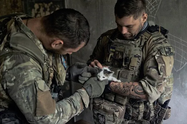Ukrainian soldiers pet a kitten in a shelter under the Russian shelling on the frontline in the Zaporizhzhia region, Ukraine, Sunday, July 2, 2023. (Photo by Libkos/AP Photo)