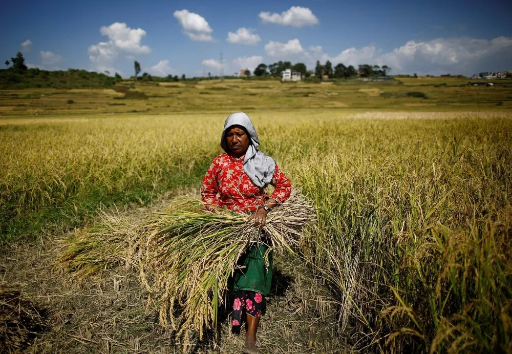 A Look at Life in Nepal