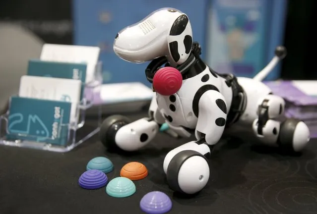 A Canhe-Fit pendant for pets is displayed on a toy dog during "CES Unveiled," a preview event of the 2016 International CES trade show, in Las Vegas, Nevada January 4, 2016. The fitness tracker monitors your pet's activity level, then an App gives nutritional advice depending on the breed, age and weight of the pet. (Photo by Steve Marcus/Reuters)