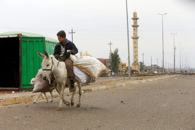 A boy ride a donkey in Mosul, Iraq, December 1, 2016. (Photo by Alaa Al-Marjani/Reuters)