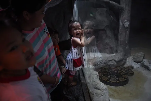 A young girl reacts after seeing a Burmese python on the last day of opening at Dusit Zoo in Bangkok on September 30, 2018. Dusit Zoo, the nation' s oldest and most famous animal park, closed on Sunday after 80 years of operation. (Photo by Lillian Suwanrumpha/AFP Photo)