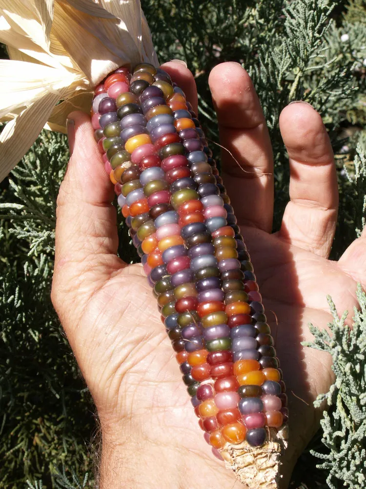 Glass Gem Coloful PopCorn