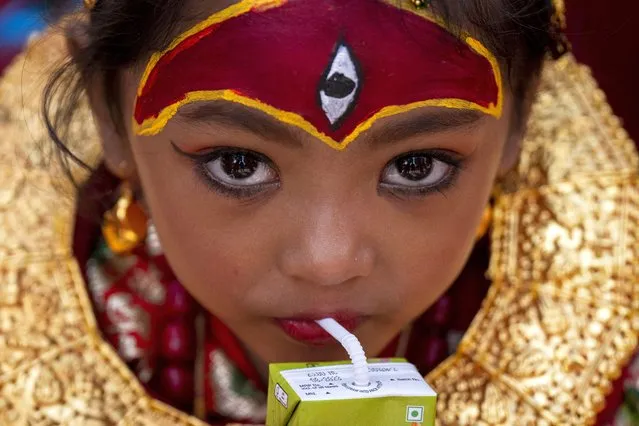 A young girl dressed as living goddess Kumari drinks juice as she waits for Kumari Puja, a worship ritual at Hanuman Dhoka, Basantapur Durbar Square, Kathmandu, Nepal, Wednesday, September 27, 2023. Girls under the age of nine gathered for the tradition of worshiping young prepubescent girls as manifestations of the divine female energy. The ritual holds a strong religious significance in the Newar community that seeks divine blessings to save small girls from diseases and bad luck in the years to come. (Photo by Niranjan Shrestha/AP Photo)