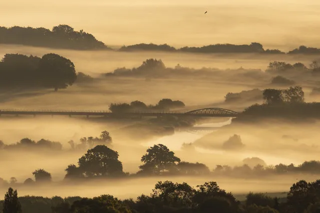 Mist hangs in the Valley near Amberley in the South Downs National Park on October 3, 2018 in Amberly, United Kingdom. (Photo by Dan Kitwood/Getty Images)