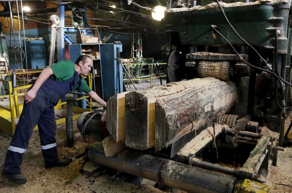 Wood Processing Plant in Siberia