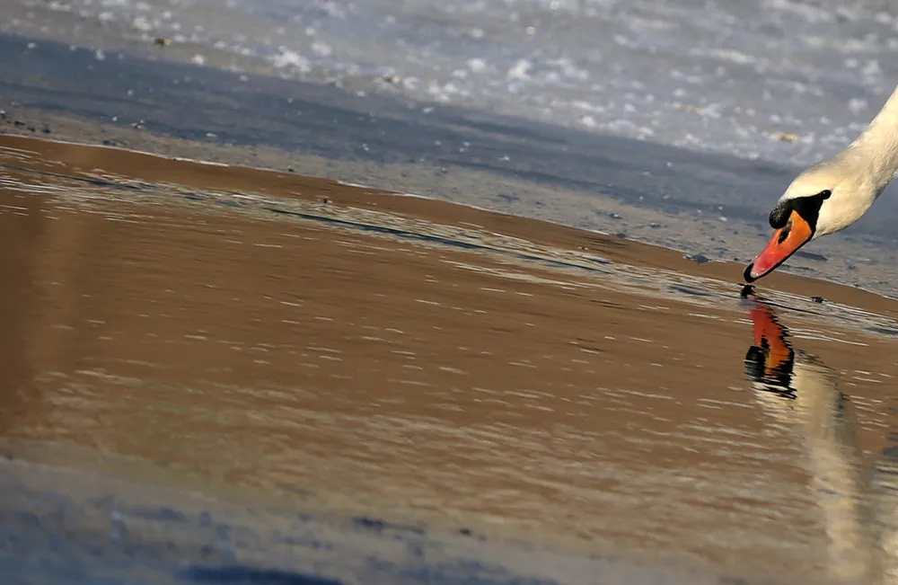 Simply Some Photos: Reflections