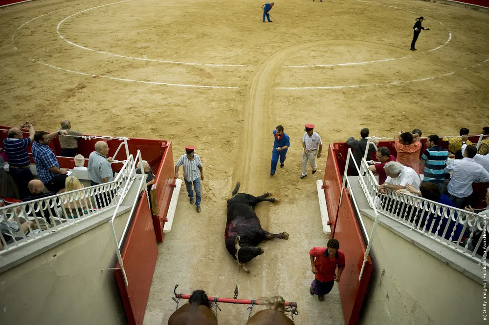 Bullfights In Barcelona 2011