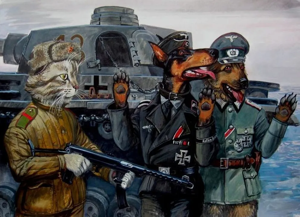 Epical Сats by Alexandr Zavala 