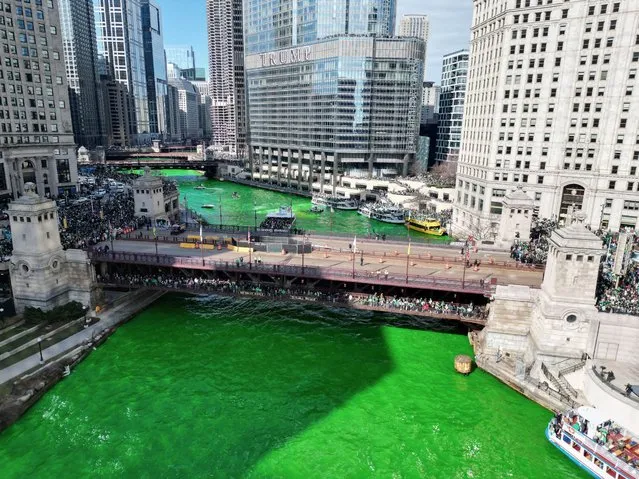 A drone image of the Chicago River dyed green in celebration of St. Patrick's Day, in Chicago, Illinois, U.S., March 16, 2024. (Photo by Eric Cox/Reuters)