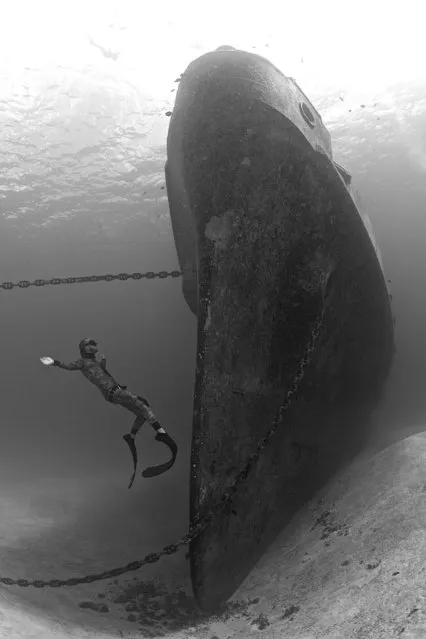 2014 Underwater Photography Photo Contest winners, Wide angle wrecks category, 1st place. (Photo by Ellen Cuylaerts/UnderwaterPhotography.com)