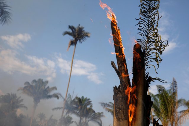 An tract of Amazon jungle burning as it is being cleared by loggers and farmers in Iranduba, Amazonas state, Brazil on August 20, 2019. Wildfires raging in the Amazon rainforest have hit a record number this year, with 72,843 fires detected so far by Brazil's space research center INPE, as concerns grow over right-wing President Jair Bolsonaro's environmental policy. (Photo by Bruno Kelly/Reuters)