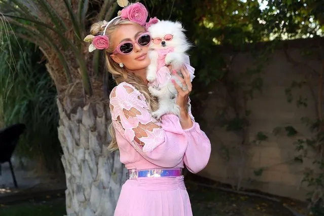 American media personality Paris Hilton says her dog “slayed his first Coachella” in the second decade of April 2022. (Photo by parishilton/Instagram)