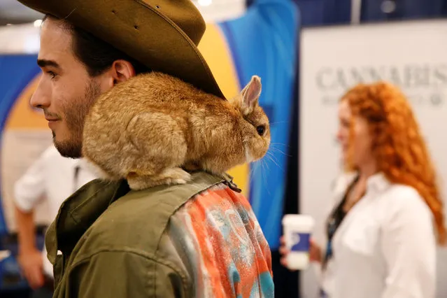 An attendee stands with a rabbit on his shoulder during the Cannabis World Congress & Business Exposition in New York, U.S. June 16, 2016. (Photo by Lucas Jackson/Reuters)