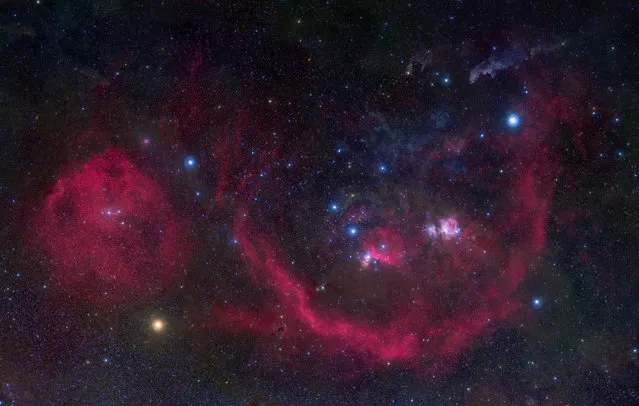 Smilin’ Orion. (Photo by Troy Casswell/CWAS/The Guardian)