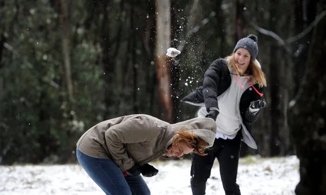 A picture made available on 14 July 2016 shows visitors playing in the snow at Mount Macedon, a small town some 64km north-west of Melbourne, Victoria, Australia, 13 July 2016. Thousands of properties were without power due to stormy weather lashing Victoria. (Photo by Mal Fairclough/EPA)