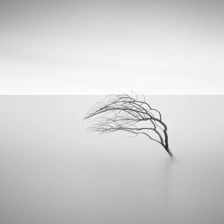 Minimalist  Photography from Thomas Leong