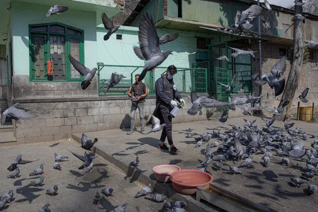 Kashmiri volunteers spray disinfectants at an area outside a shrine where pigeons are fed as a precautionary measure against COVID-19  in Srinagar, Indian controlled Kashmir, Wednesday, March 18, 2020. For most people, the new coronavirus causes only mild or moderate symptoms. For some it can cause more severe illness. (Photo by Dar Yasin/AP Photo)