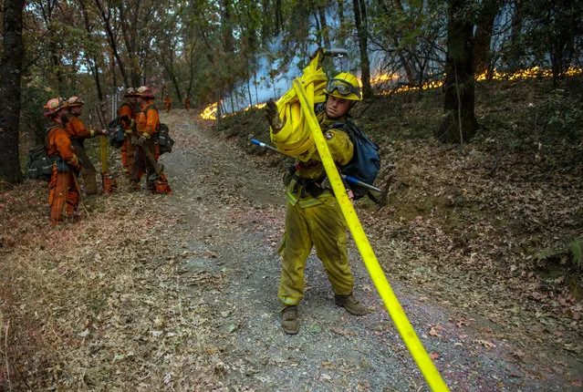 Fire crews finish working a fire line near the town of Glencoe on Highway 26 in Jackson, Calif., on Friday, September 11, 2015. The Butte fire has burned over 64,728 acres and is forcing evacuations in the dry hills east of highway 49. (Photo by Andrew Seng/The Sacramento Bee via AP Photo)