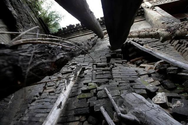 Tree trunks are set up to support a leaning wall of Li Yonghua's damaged cave house in an area where land is sinking next to a coal mine, in Helin village of Xiaoyi, China's Shanxi province, August 2, 2016. (Photo by Jason Lee/Reuters)