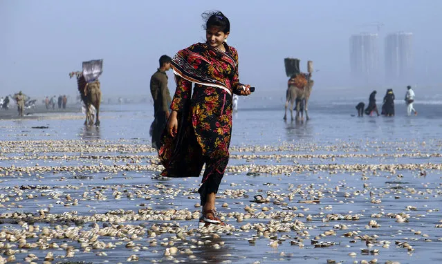 A Pakistani girl collects sea shells on the beach in the port city of Karachi, Pakistan, 17 May 2016. The muscle inside the sea shell is used as food in different countries and the hollow shell is used for decoration, binding material and has also been introduced in many different types of art and craft. (Photo by Shahzaib Akber/EPA)