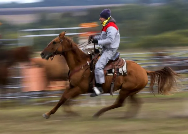 A participant competes during the Russian Rodeo in the village of Kotliakovo, Bryansk region, southeast of Moscow, Russia, September 12, 2015. (Photo by Maxim Shemetov/Reuters)