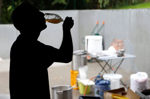 Simon Royer, medical student and member of the Belgian Homebrewers association, tastes his own beer outside his parents garage in Wepion, Belgium, August 11, 2016. (Photo by Francois Lenoir/Reuters)