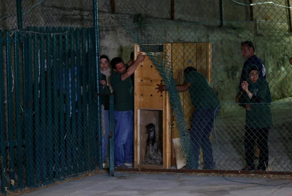 “World's Worst Zoo” in Gaza Shut Down