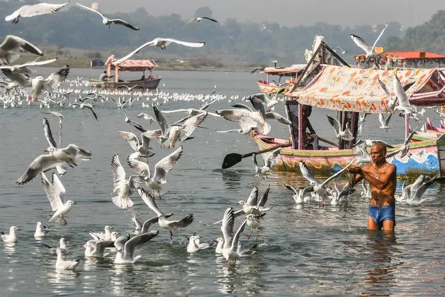 A man offers prayers as migratory Siberian seagulls fly over the river Narmada on a wintry morning in Jabalpur, November 2, 2022. (Photo by Uma Shankar Mishra/AFP Photo)