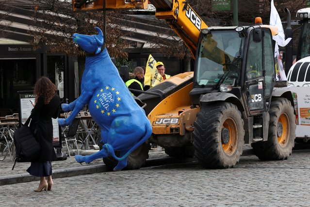 A cow figure hangs from a vehicle, as French farmers stage a protest near the European Parliament in Brussels, Belgium on January 24, 2024. (Photo by Yves Herman/Reuters)