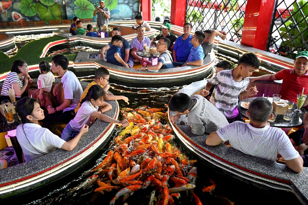 A Look at Life in Vietnam