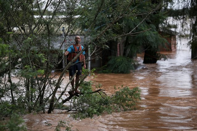 A resident hangs on a tree while waiting for a rescue team, during a flood in Eldorado do Sul, Rio Grande do Sul state, Brazil on May 3, 2024. Brazilian President Luiz Inacio Lula da Silva on Thursday visited the country's south where floods and mudslides caused by torrential rains have killed 29 people, with the toll expected to rise. (Photo by Anselmo Cunha/AFP Photo)