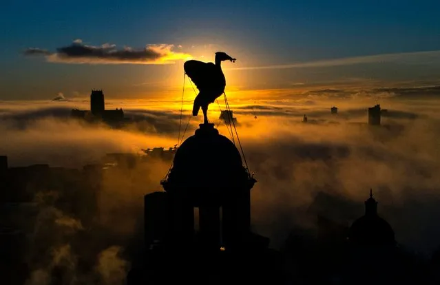 The sun rises behind The Royal Liver Building in Liverpool, Merseyside on Tuesday, January 17, 2023. (Photo by Peter Byrne/PA Images via Getty Images)