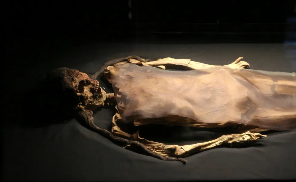 The Day in Photos – November 6, 2016