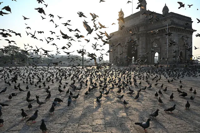 Pigeons fly in a deserted area in front of the Gateway of India during restrictions imposed by the state government amidst rising Covid-19 coronavirus cases, in Mumbai on April 15, 2021. (Photo by Punit Paranjpe/AFP Photo)