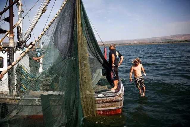 Menahem Lev, a fisherman from Kibbutz Ein Gev, stands on his boat as one of his employees jumps into the  Sea of Galilee, northern Israel November 20, 2016. (Photo by Ronen Zvulun/Reuters)