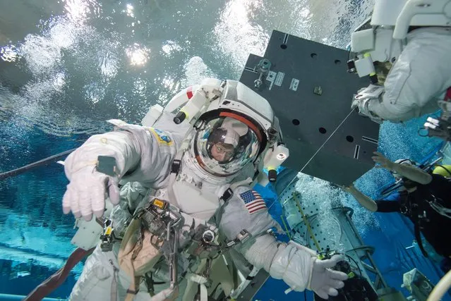 A NASA/ESA handout image dated 12 January 2016 showing  Expedition 50/51 crew members Peggy Whitson (L)  and Thomas Pesquet of ESA underwater during a suited run for ISS EVA Maintenance 7 (Battery) training at Johnson Space Center in Houston, United States. Whitson is scheduled to launch to the International Space Station in late 2016 as part of Expedition 50/51. (Photo by Bill Brassard/EPA/NASA/JSC)