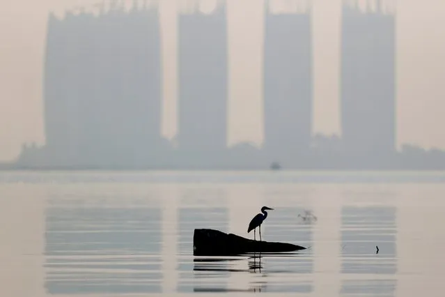 A heron bird perches as smog covers high rise buildings on the north coast of Jakarta, Indonesia, August 28, 2021. (Photo by Willy Kurniawan/Reuters)