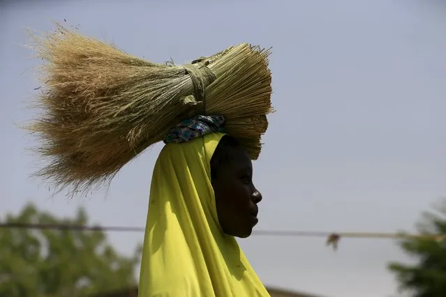 A woman carries dried grass on her head in a community for internally displaced people in Maiduguri, Nigeria March 9, 2016. (Photo by Afolabi Sotunde/Reuters)