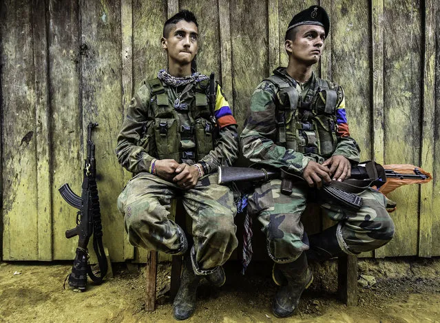 Revolutionary Armed Forces of Colombia (FARC) members rest at a camp in the Magdalena Medio region, Antioquia department, Colombia on February 18, 2016. FARC leader Timoleon Jimenez confirmed that his men were attacked by the Colombian army as they went to received one of the commanders who takes part in the Havana peace talks, who was going to inform them about the situation of the negotiations. The Marxist guerrillas have been observing a unilateral ceasefire since July. But while the government has stopped bombing FARC positions, it has yet to accede to the rebels' demand for a bilateral ceasefire. (Photo by Luis Acosta/AFP Photo)