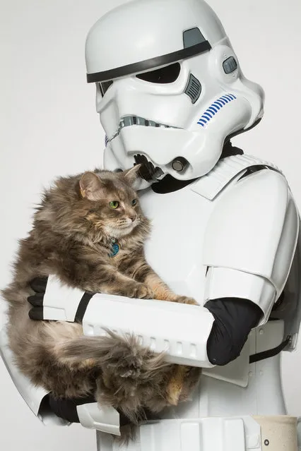 A Storm Trooper with a cat. (Photo by Rohit Saxena/Caters News)