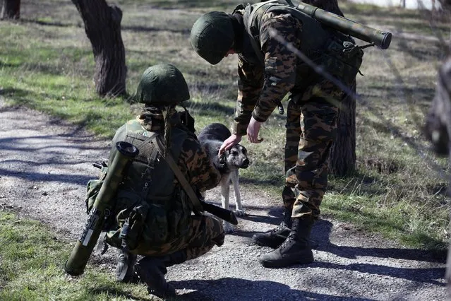 Russian soldiers, who are carrying grenade launchers, pet a stray dog near a Ukrainian military base in the town of Bakhchisarai in the Crimea, on March 3, 2014. (Photo by Sergei L. Loiko/Los Angeles Times/MCT)