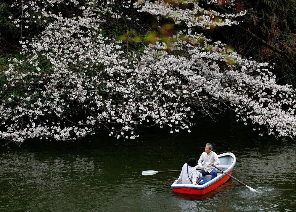 A Look at Life in Japan