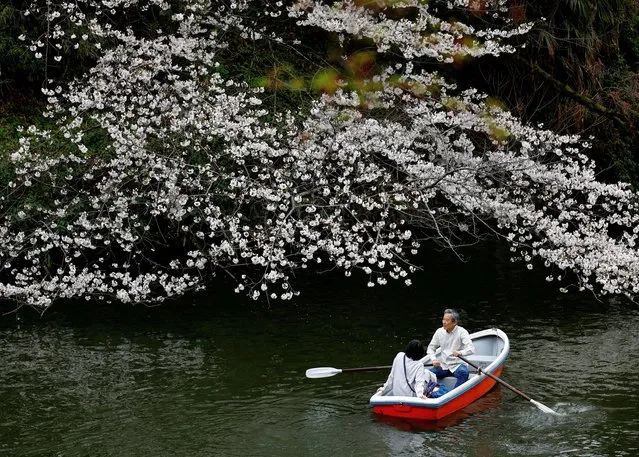 Visitors ride a boat next to cherry blossoms at Chidorigafuchi Park in Tokyo, Japan on April 4, 2024. (Photo by Kim Kyung-Hoon/Reuters)